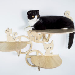 Bubble Shelf with Steps for Cats, Climbing Wall and Cat Furniture